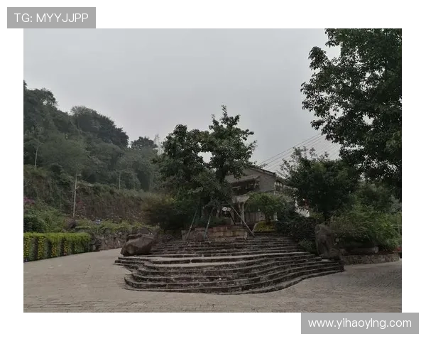 壹号娱乐充值教程操作流程详解，确保每一步都正确无误